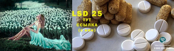 первитин Богданович