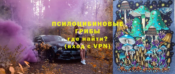 apvp Богородск