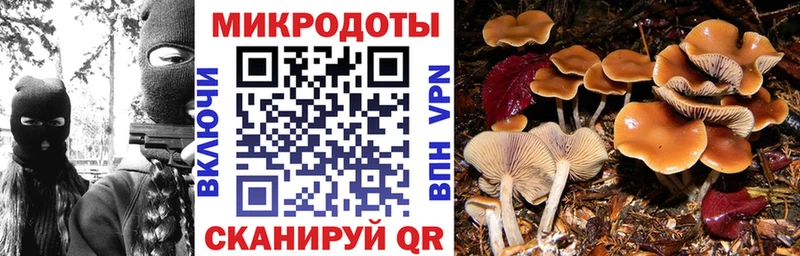 Галлюциногенные грибы прущие грибы Венёв